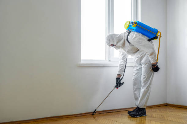 Best Pest Removal Services  in Tomah, WI