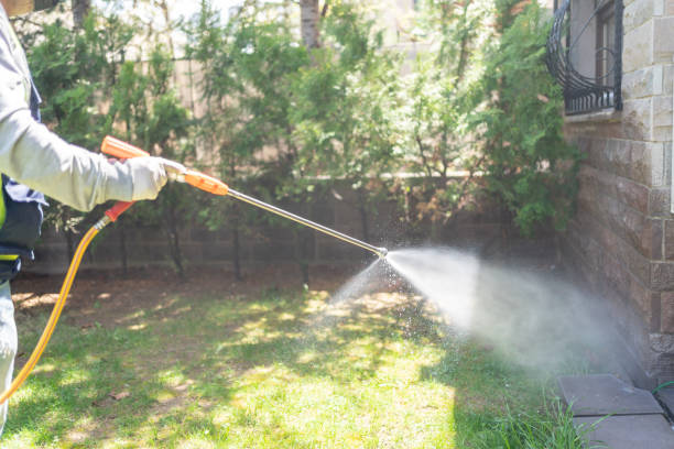 Best Affordable Pest Control Services  in Tomah, WI