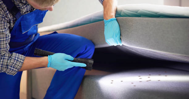 Best Flea Control Services  in Tomah, WI